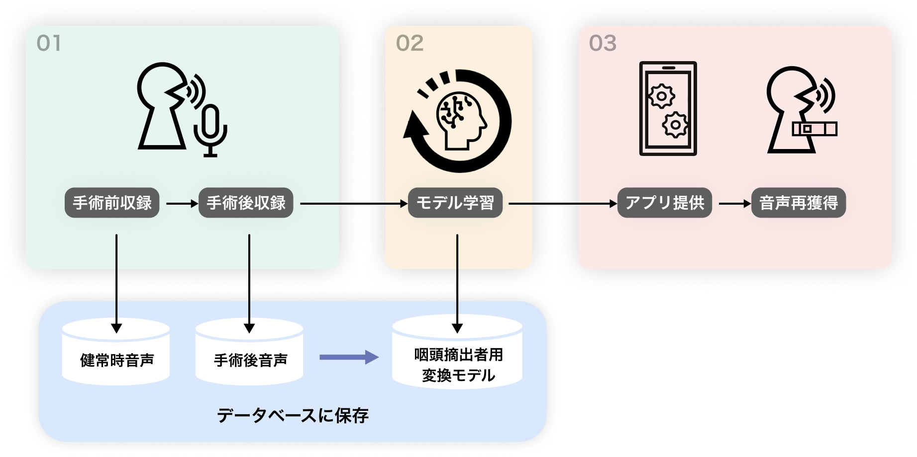 手術前収録→手術後収録→モデル学習→アプリ提供→音声再獲得